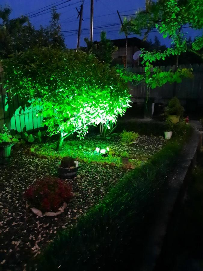 קוטאיסי Sisi Guest House מראה חיצוני תמונה