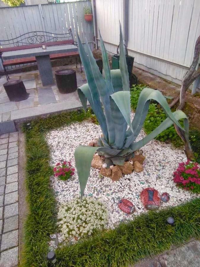 קוטאיסי Sisi Guest House מראה חיצוני תמונה
